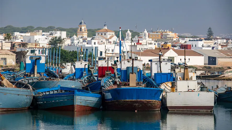 Pasear por el Puerto