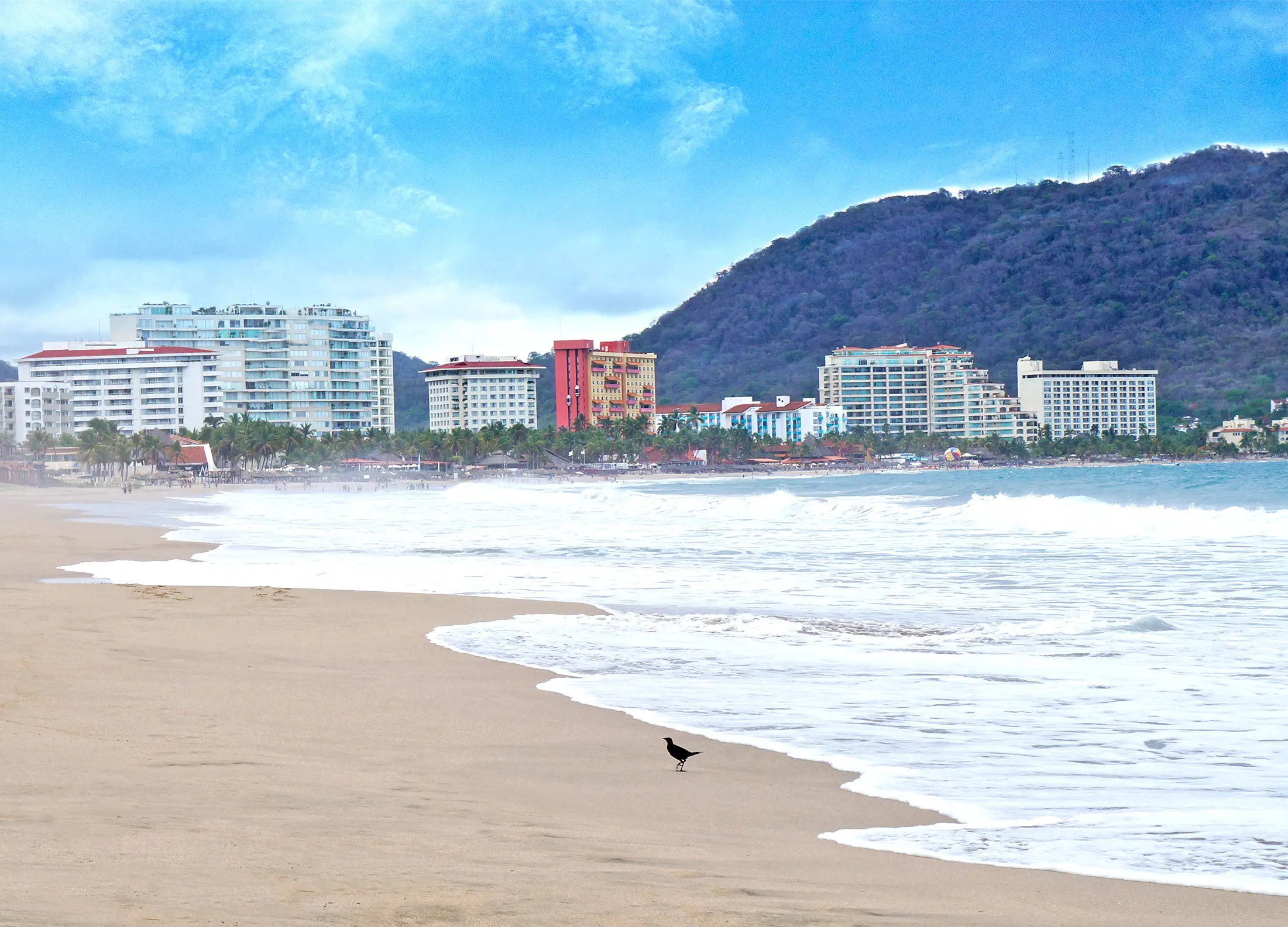 El Palmar