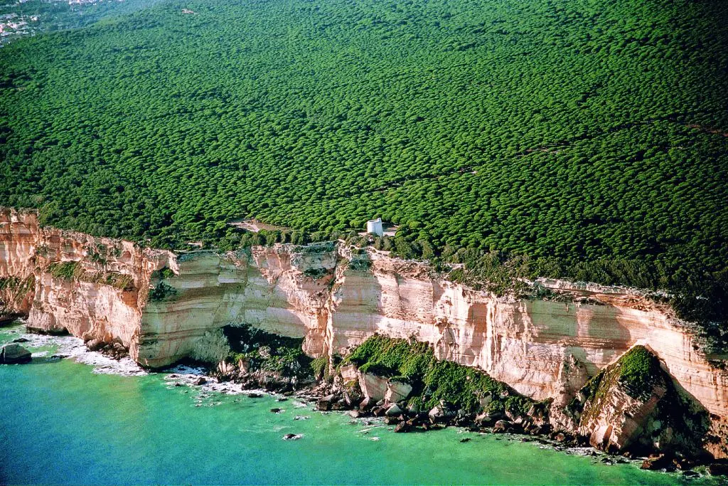 Parque Natural de la Breña: el paraíso natural de la Costa de la Luz