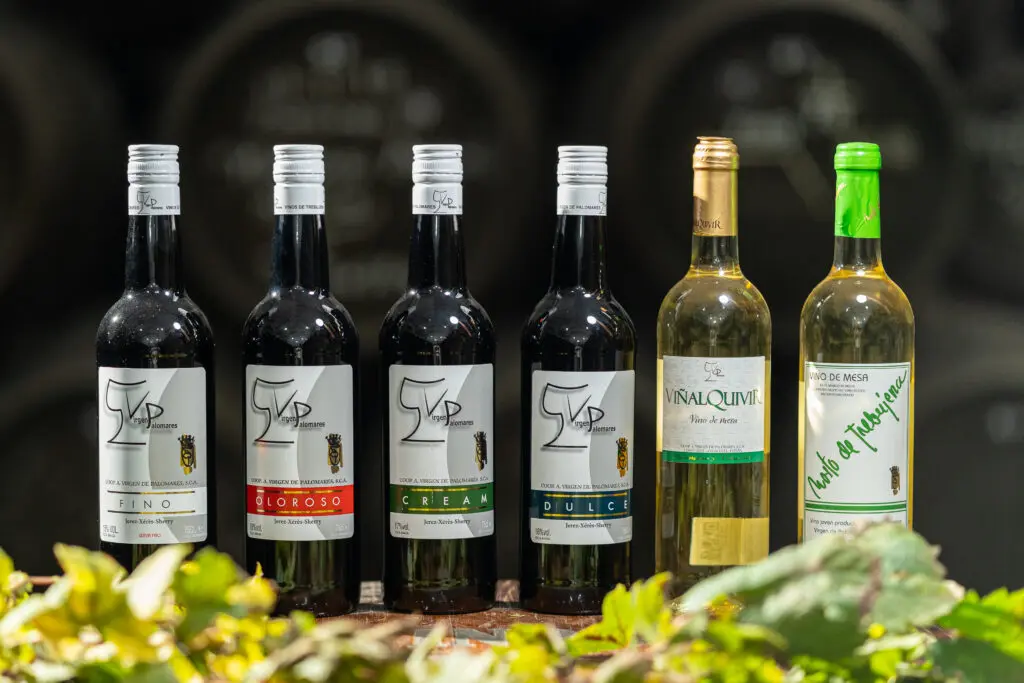 Los mejores vinos gaditanos para maridar pescado